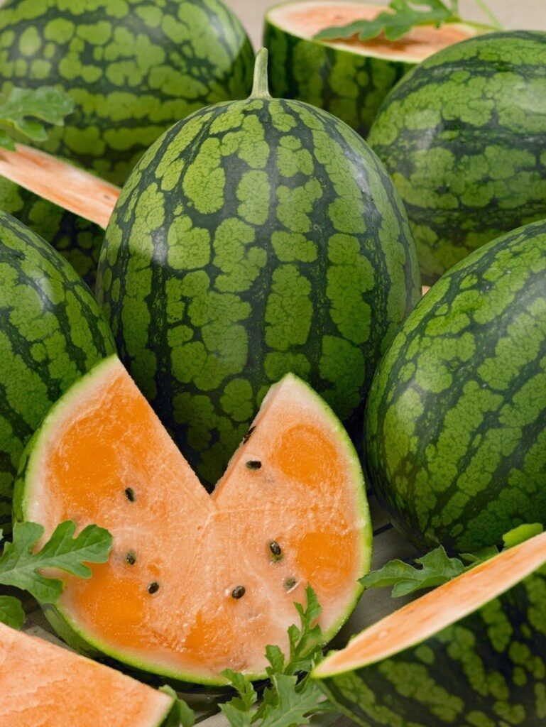 Arbūzi Primaorange F1, 8 sēklas