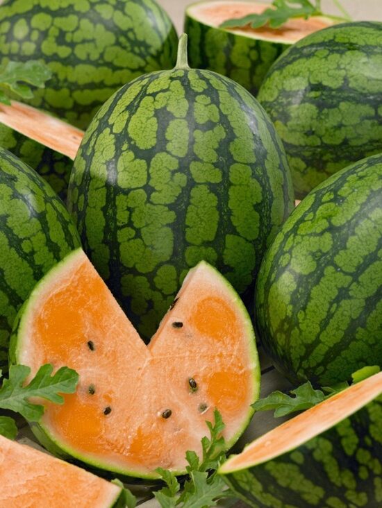 Arbūzi Primaorange F1