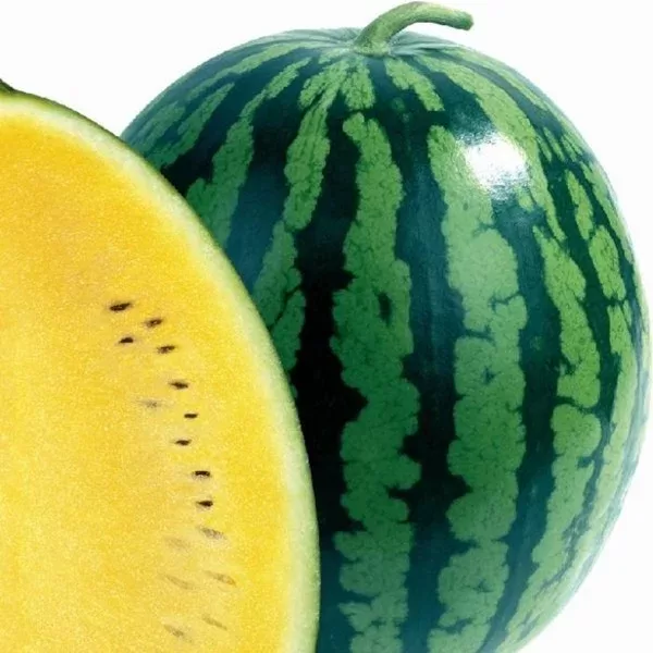 Arbūzi Orange King F1, 10 sēklas 