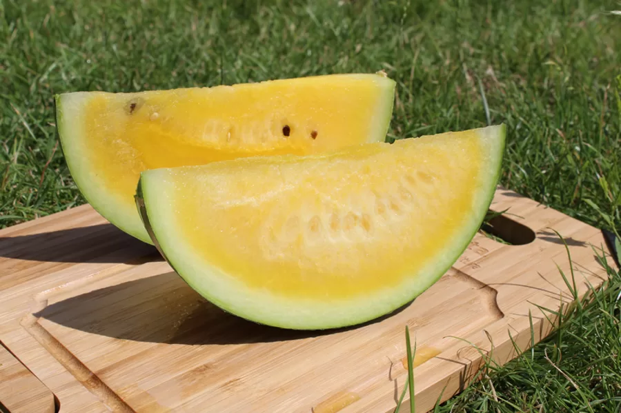 Arbūzi Yellow Bite F1, 10 sēklas